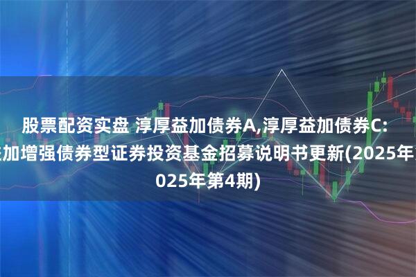 股票配资实盘 淳厚益加债券A,淳厚益加债券C: 淳厚益加增强债券型证券投资基金招募说明书更新(2025年第4期)