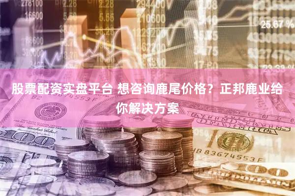 股票配资实盘平台 想咨询鹿尾价格？正邦鹿业给你解决方案